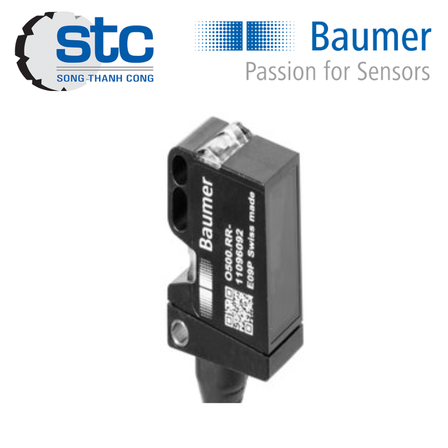 11136906-baumer-vietnam.png