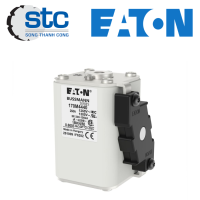 170m4440-eaton-vietnam.png