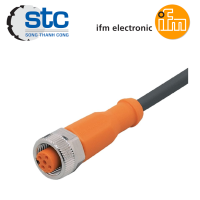 evc002-ifm-vietnam.png